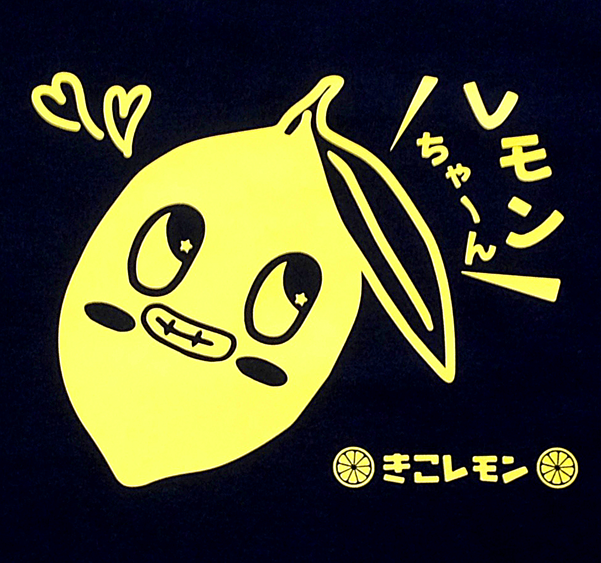 オリジナルキッズTシャツ_きーちゃん編☆